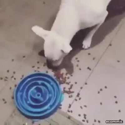 These innovative dog bowls