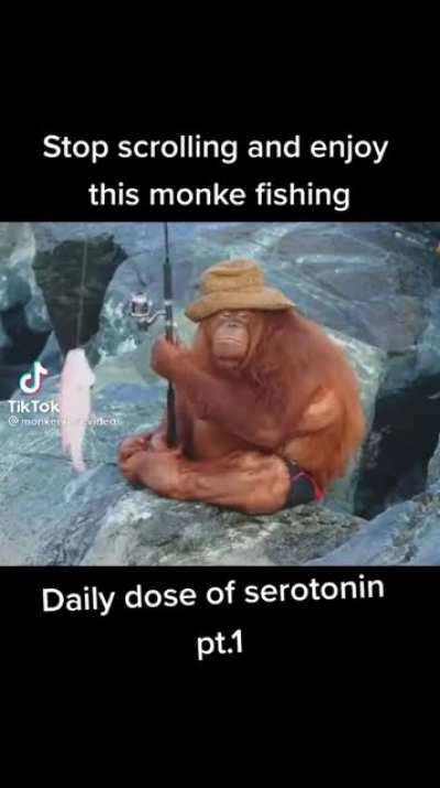 Monke fishing moment