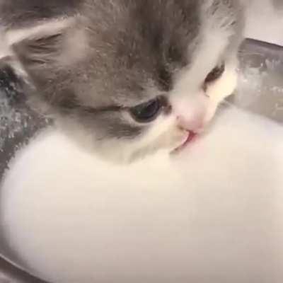 It's Milk time! (ASMR)