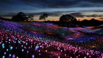 Please say hey followers