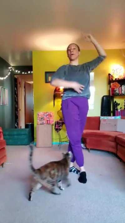 My sister is a Ballet teacher and with the remote schooling due to Coronavirus she now has to record her lessons. A certain somebody is adapting to this very enthusiastically!