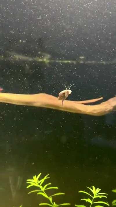 The eloquence ✨✨