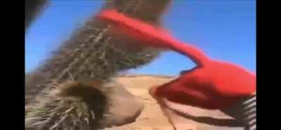 My very own creation