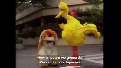big bird simply losing his shit