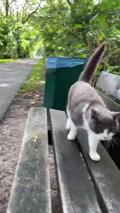 She is finally back! After more than a year. I thought she died because I hadn’t seen her for a while!