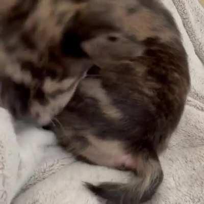 Please pray for my boy. He’s doing his best.