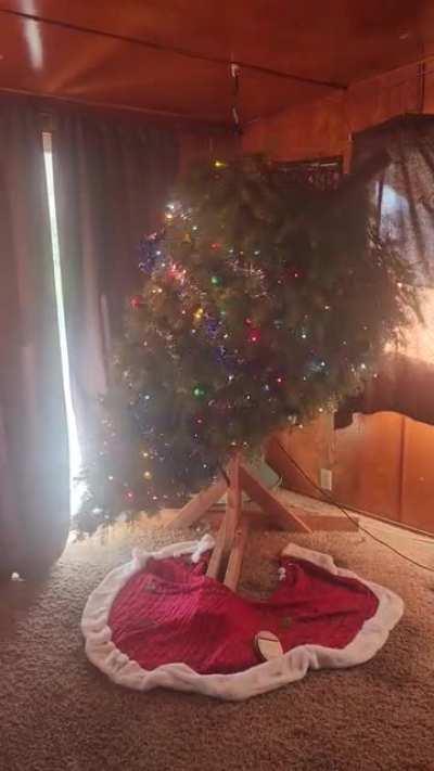 Normal Christmas tree.