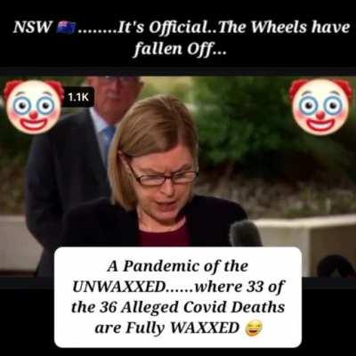 Pandemic of the government and vaccinated