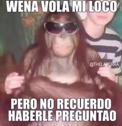 Peruano facha te pregunta si alguien te pregunto una wea epica