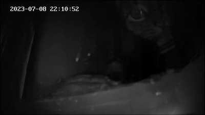 Betty gets absolutely no peace - Part II