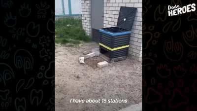 Animal volunteer Yannick and his rescue dog Koda doing what they can to save more animals.