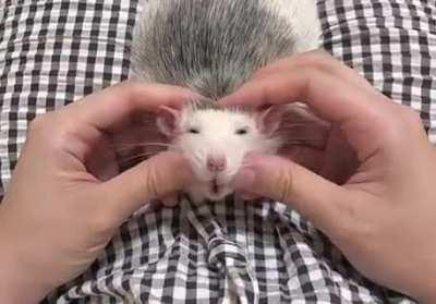 😬​😮​😬​😮​