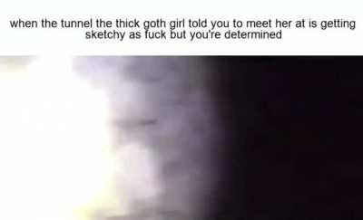 they’re just birds…