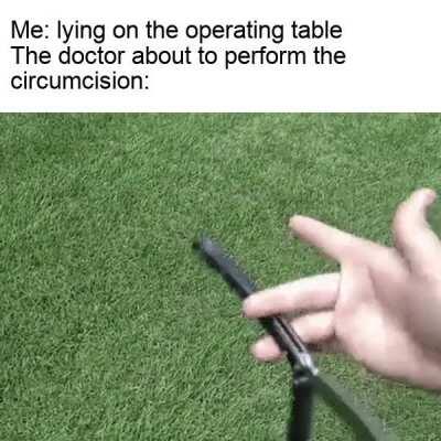 Roses are red violets are blue where is my foreskin, oh wait i'm a jew