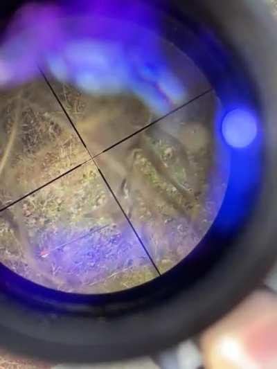 Think about this next time you complain about a headache