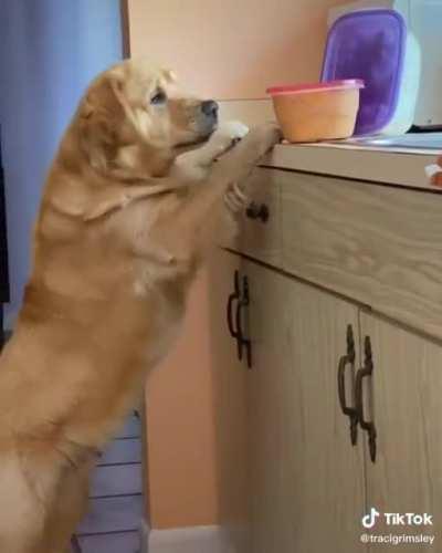 Caught in the act, so busted!