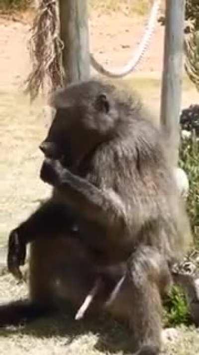 Pura proteína chavales 😎👌