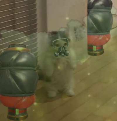 beats to wait for caustic buffs