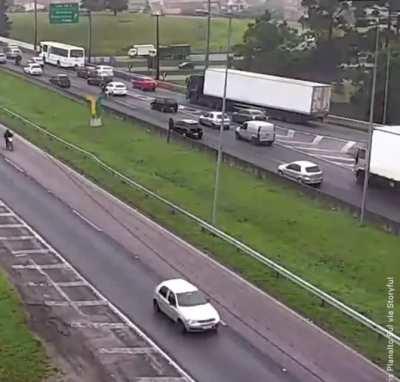 parrot photobombing traffic cam in brazil