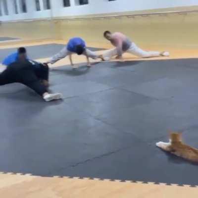 yoga instructor watching over his class…