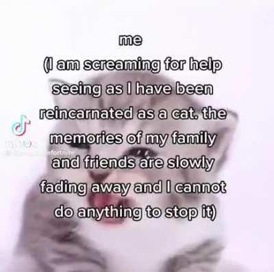 look at the little goober