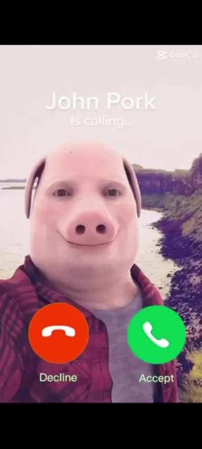 Why does John pork keep calling me? 💀💀