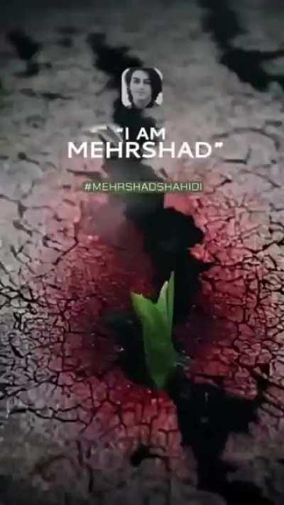 I thought this was really cool