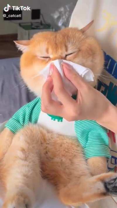 My mother taught me to blow my nose, and I learned it quickly🥲