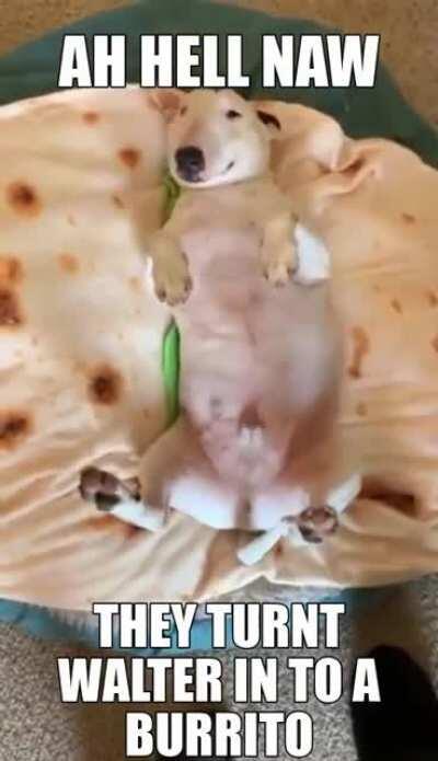 NOOO I DONT WANT TO BE A BURRIUTO