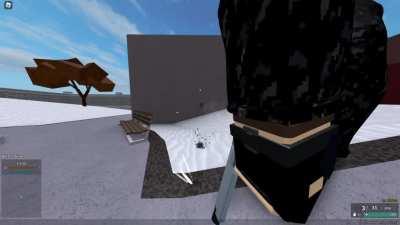 The Lowest Recoil in Phantom Forces (MP412 REX)