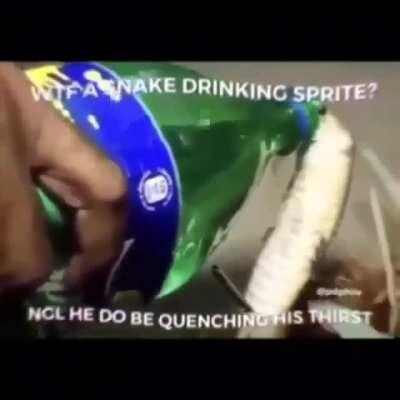 Some nice hentai for y'all