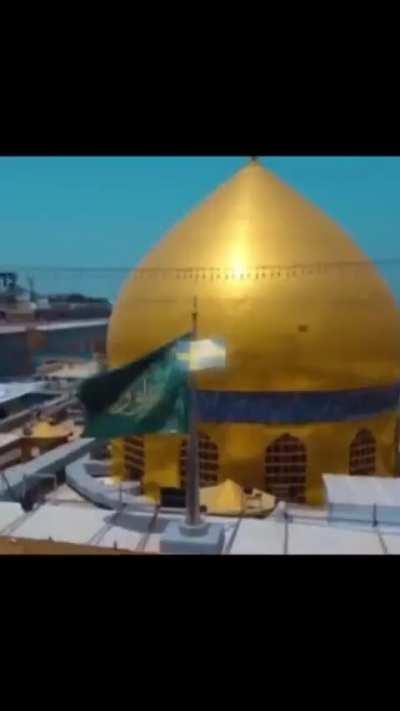 Swedish Women FeelsWowMan