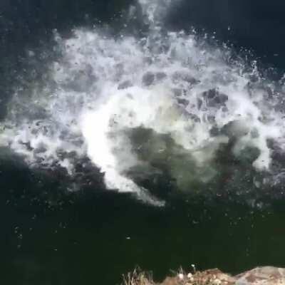 WCGW jumping off a cliff