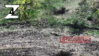 ru pov. Drone footage of 2 Ukrainian soldiers dying in combat.