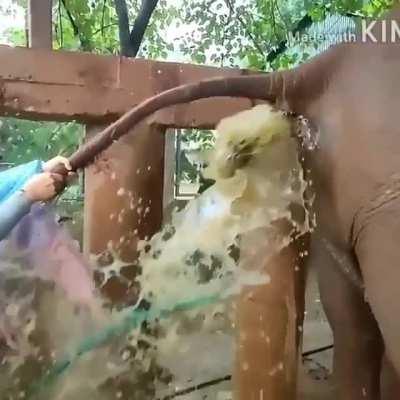 imagine that taste there