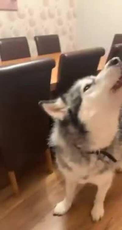 Get him out of my bed!