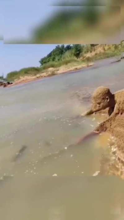 How this man catches fish