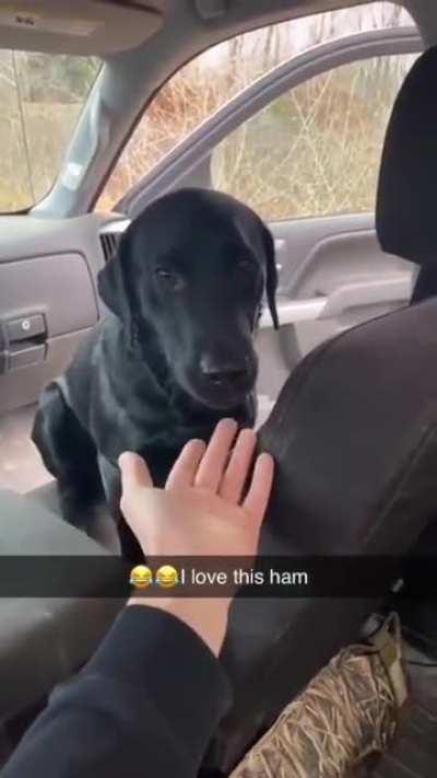 I have no idea how that got in there.