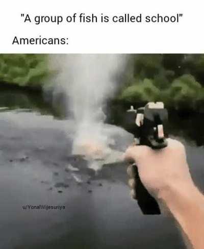 Merica. ‍ ‍ ‍ ‍ ‍ ‍ ‍ ‍ ‍ ‍ ‍ ‍ ‍ ‍ ‍