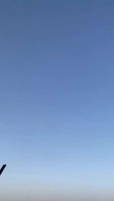 Elmer Fudd bird hunting