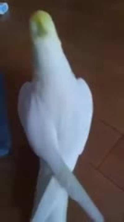 Impossible not be in a good mood around him