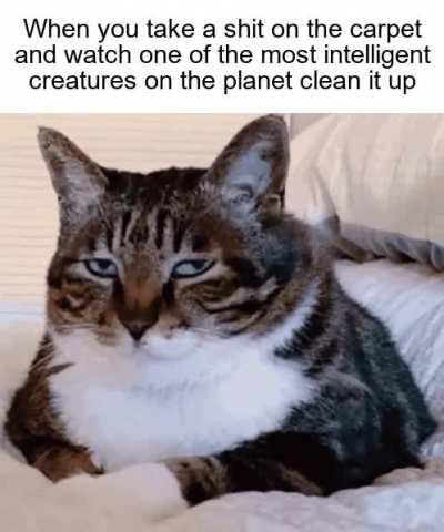 I see no God up here