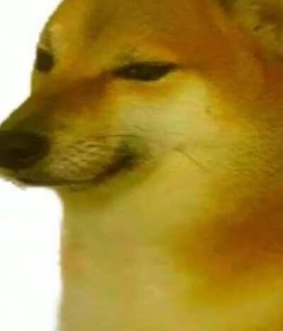 Amo frete gratis 😍😍