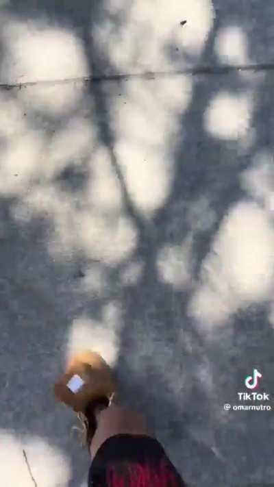 Terroriser - Video #3962