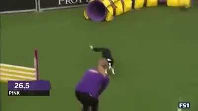 Finished 5.94 seconds faster than the next fastest dog. Look at its face at the beginning, its clearly on something