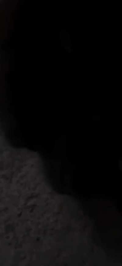 The man burst into tears when he was presented with a kitten, which he named Steven!! 🥺