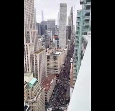 Aerial view captures just how many fucking protesters were at the Hands Off! protest in New York City.
