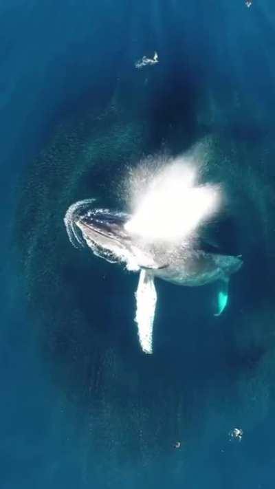 The way it just appears out of nowhere