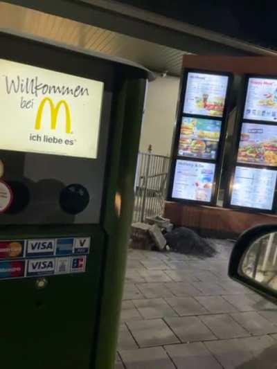 Immigrant forgor german💀