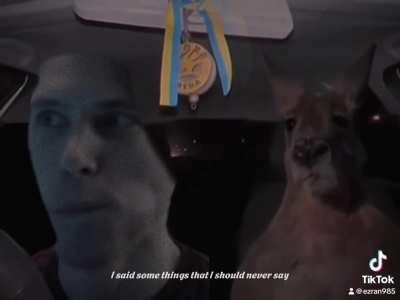 keep yo hands on the wheel elbertson